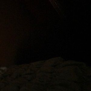 Meet your Posher, Judy